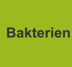 Bakterien